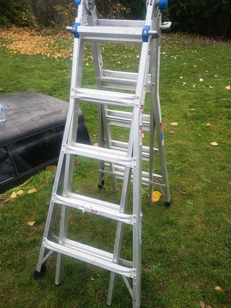 Werner 22ft. Multi-Position Ladder