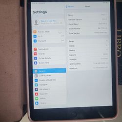 Ipad Mini