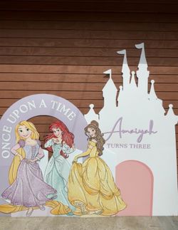 Princess Backdrop