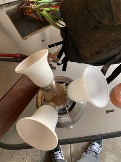 Ceiling fan with light