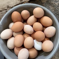 Authentic Fresh Farm Eggs 1 Dozen