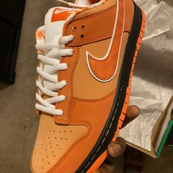 Orange Lobsters 