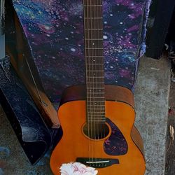 Acoustic Guitar