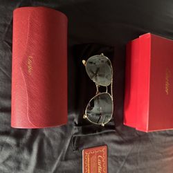 Cartier Jaguar Sunglasses 