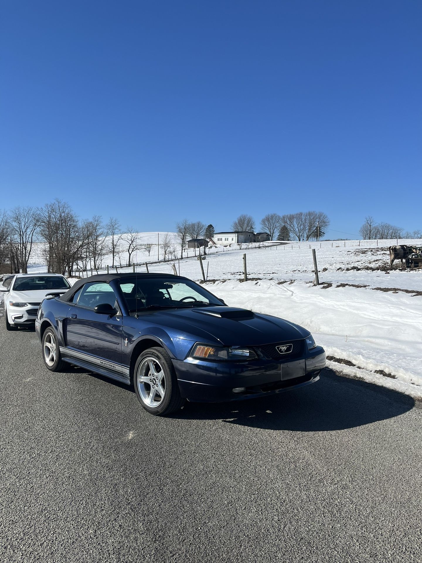 2003 Ford Mustang