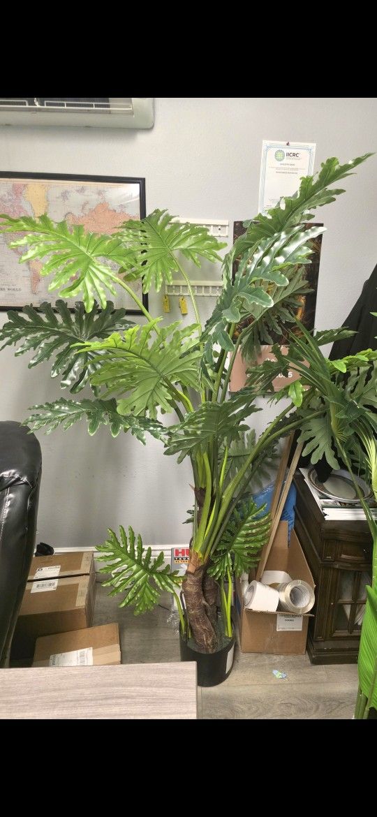 5 foot Artificial Eva Plume Split Leaf Plant