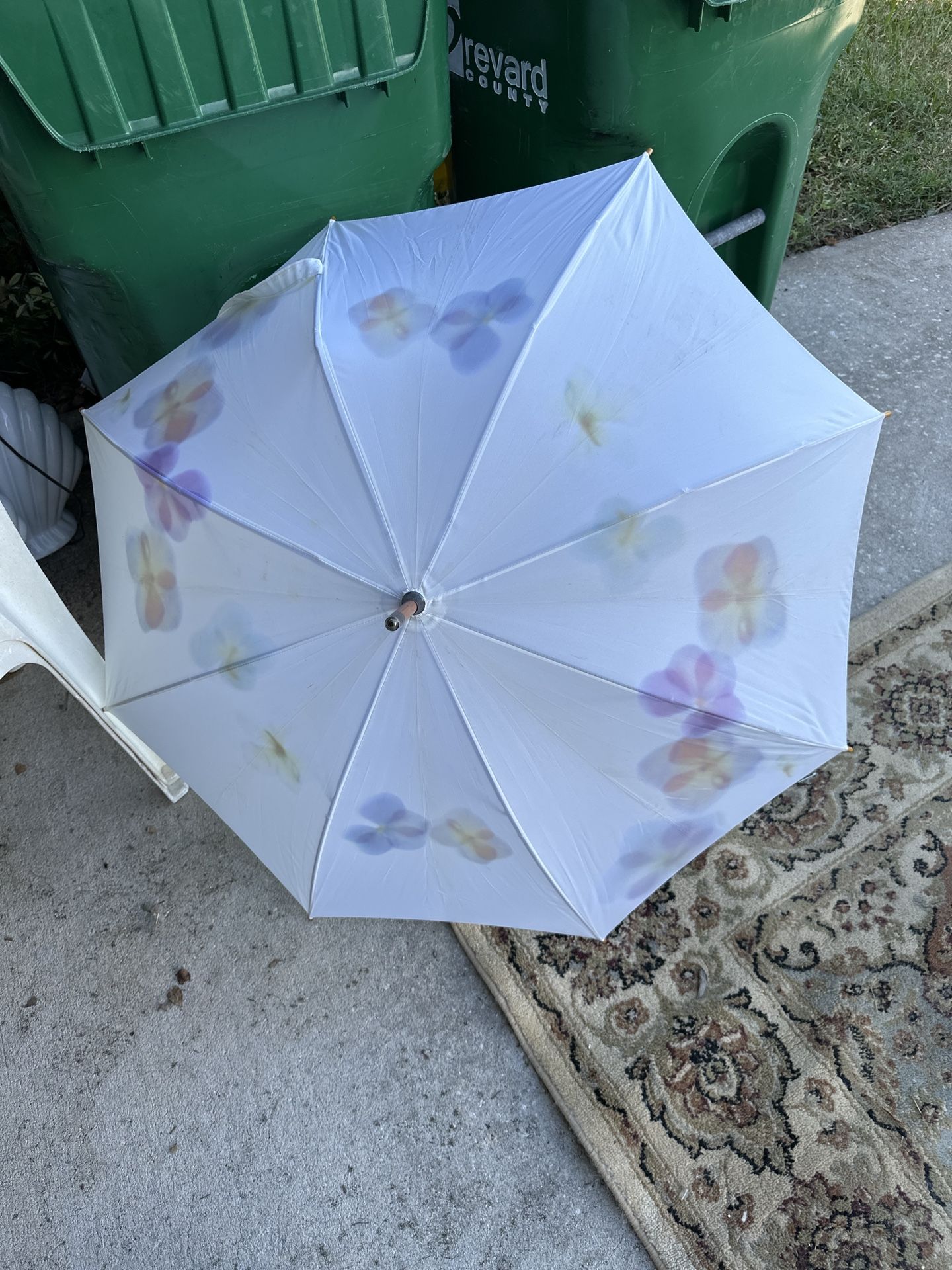Umbrella