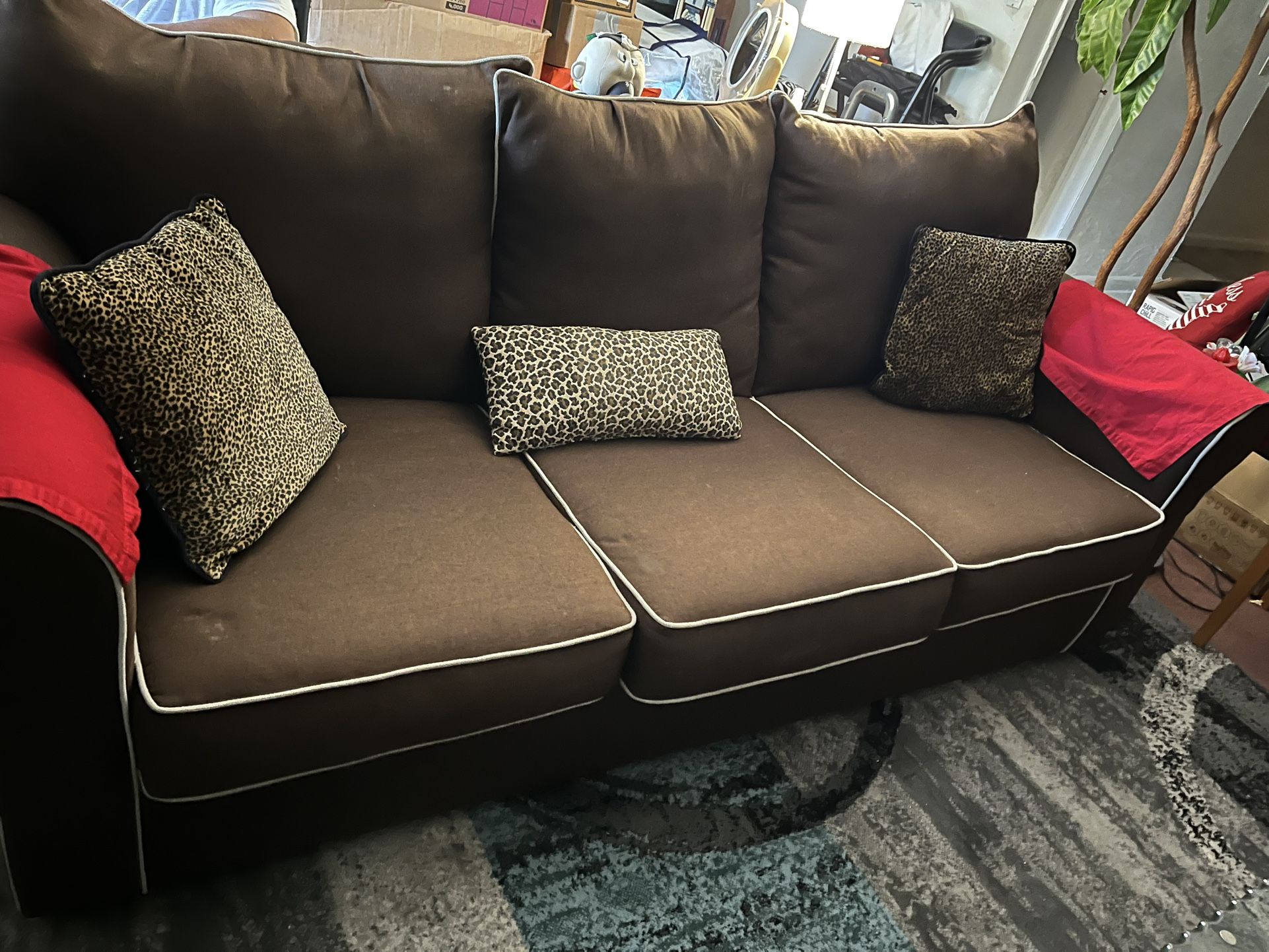 Sofa Bed