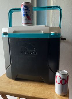 Igloo Cooler 20 qt.