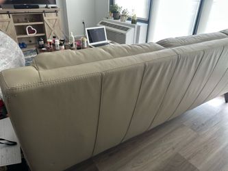 Two year old leather couch