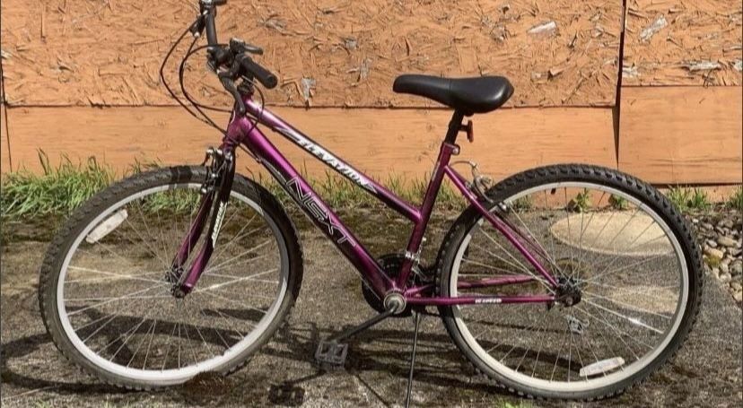 Next Elevation Mountain Bike