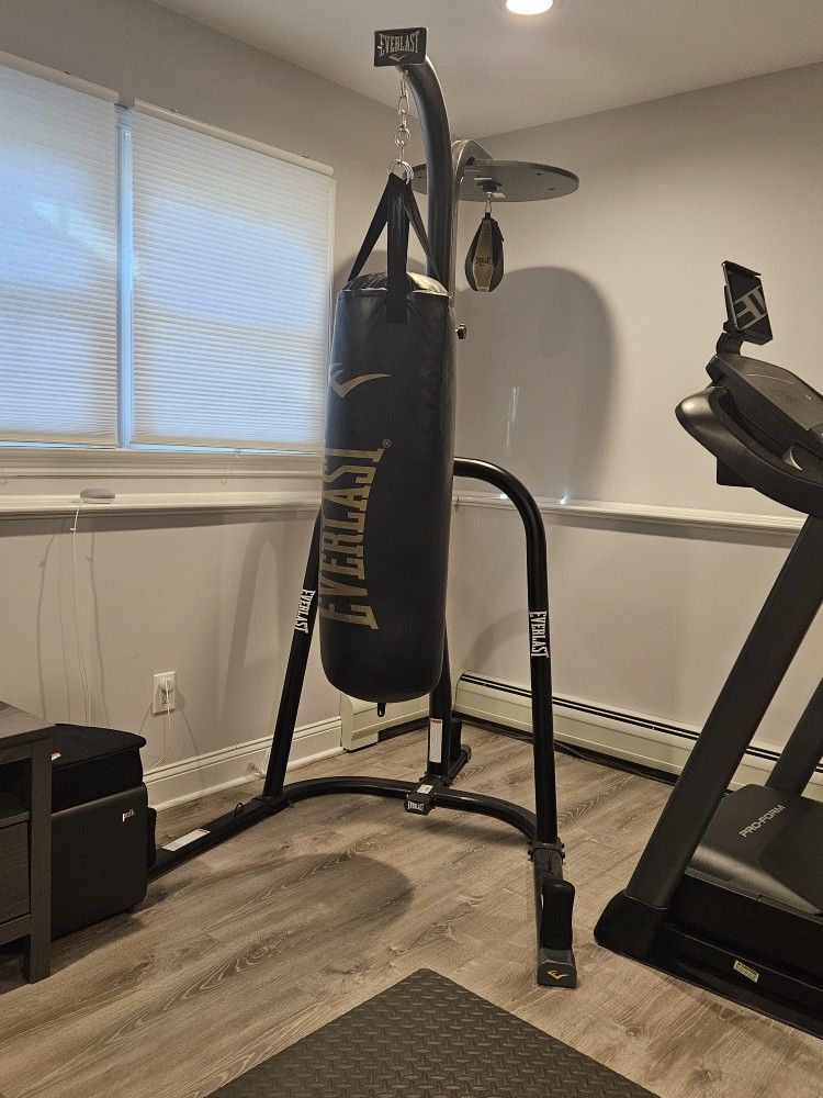 Everlast 100lb Heavy Bag, Speed Punching Bag, and Stand. 