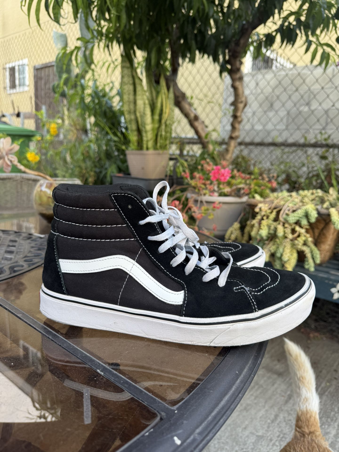 Men’s Vans High Top