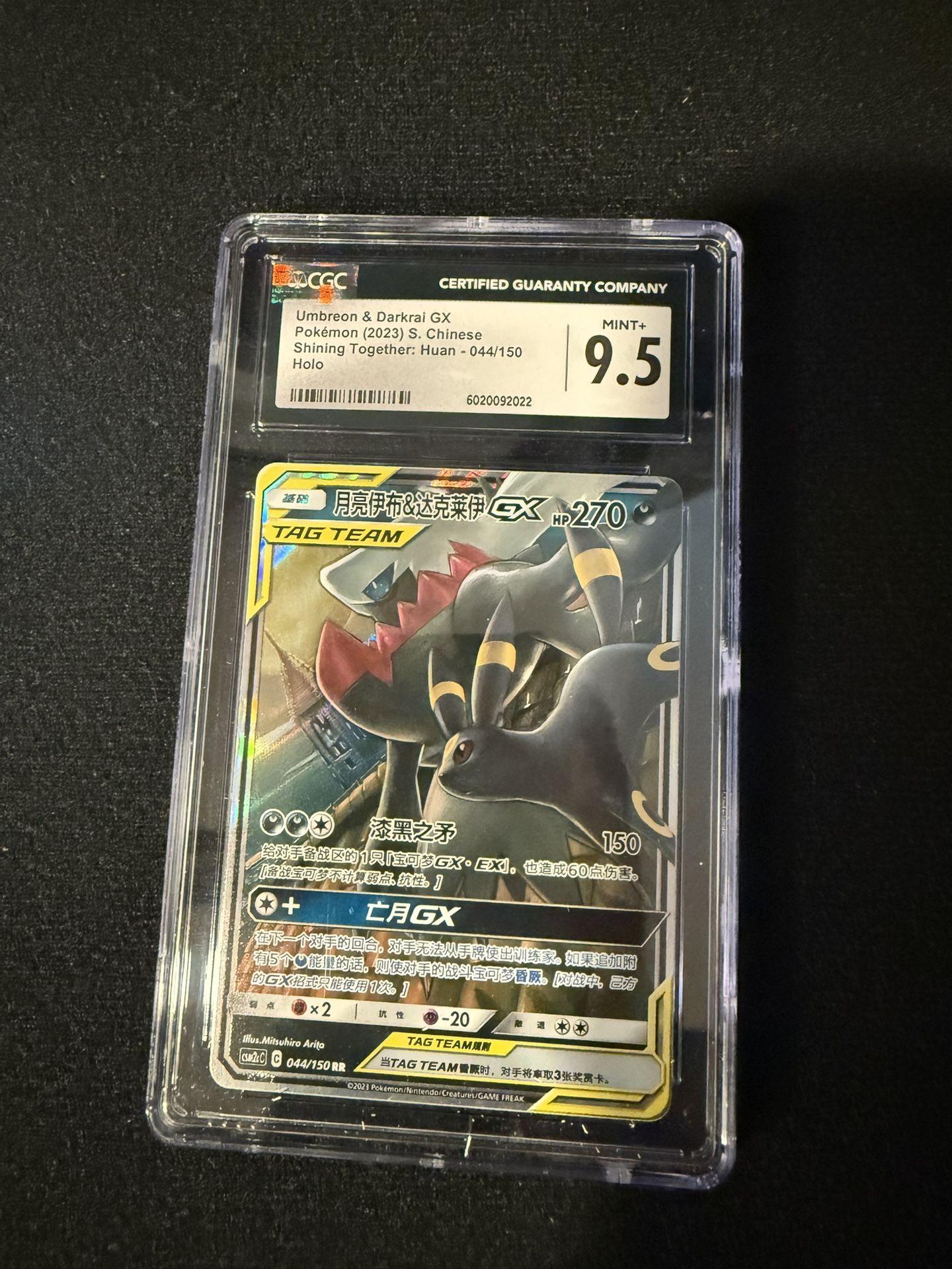 Pokemon Slab Tag Team