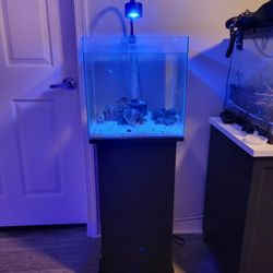 2 15 Gallon Aquariums