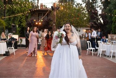 David’s bridal wedding dress
