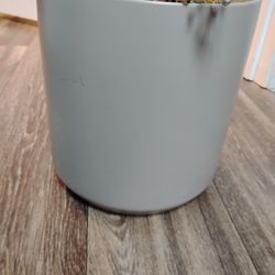 Ceramic Pot, 9"HX9"D, Ceramic Pot for an Indoor Plant