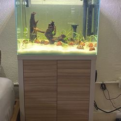 22.5g fish tank, COMPLETELY Fish ready