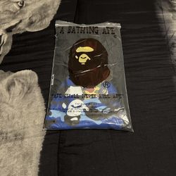 Bape  Camo Large T Shirt 