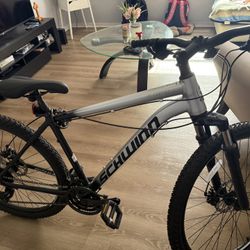 Schwinn Bike 