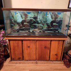 50 Gallon Aquarium Tank