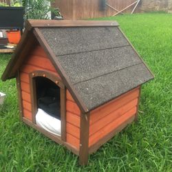 Dog Or Cat House 