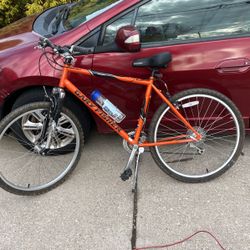 Mountain Bike