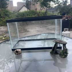 Fish Tank, 10 Gallon