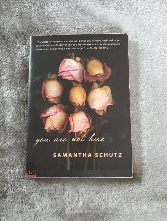 You Are Not Here by Samantha Schutz (2012, Trade Paperback)