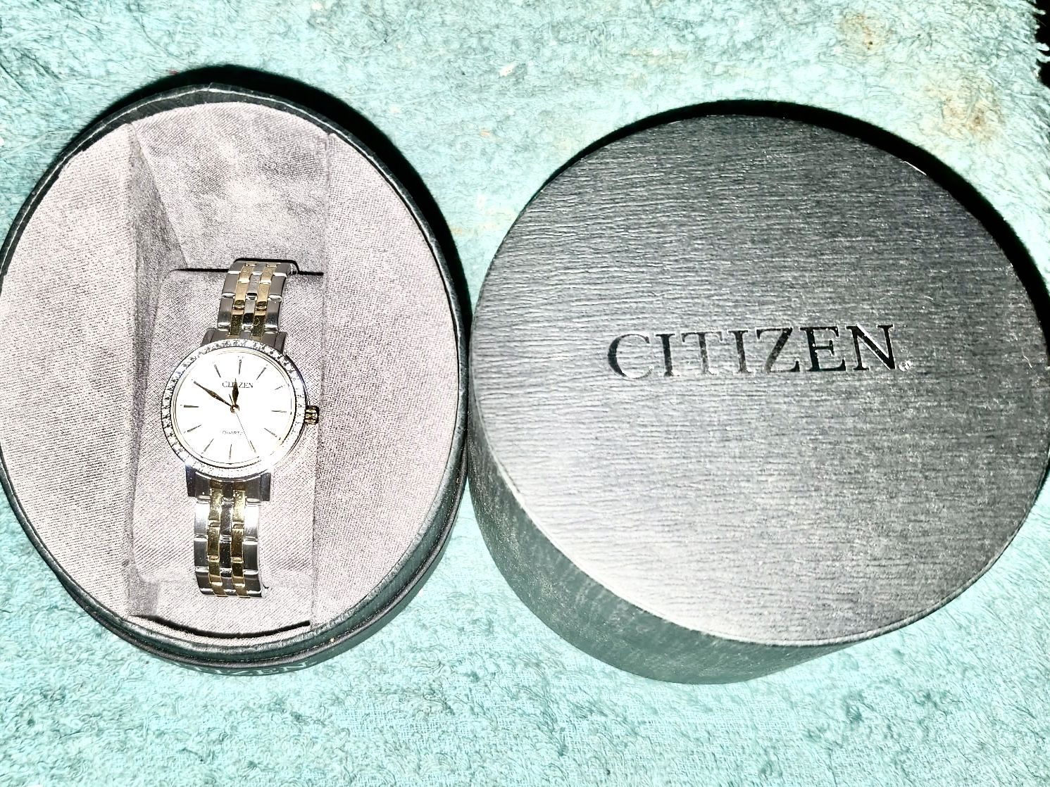 Female Citizen Watch. Brand New. $300