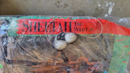 Cat Costume For Adult $15 or Best Offer