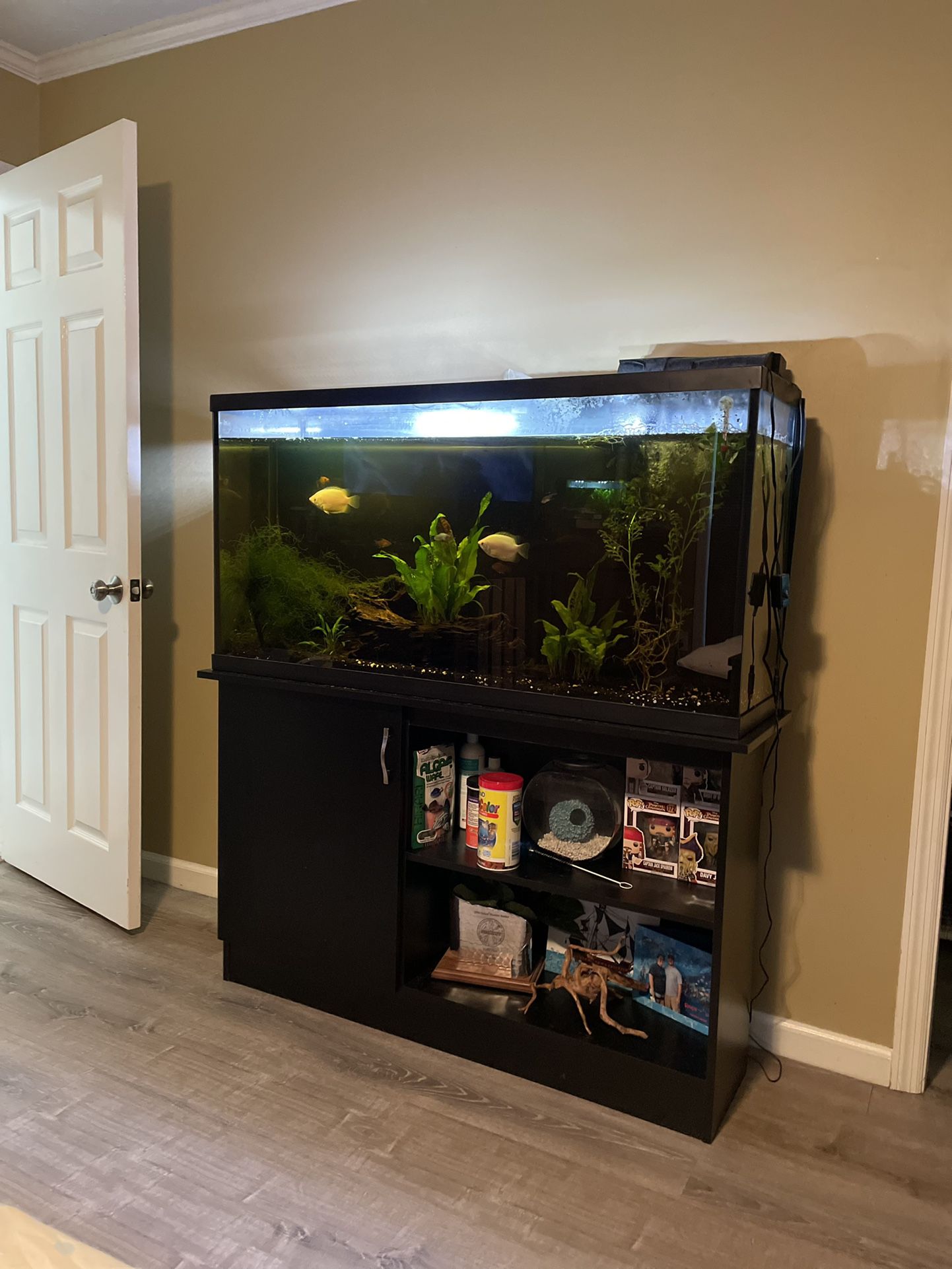 60 Gallon Long Fish Tank Aquarium 