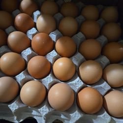 Hola Ale Tenemos Huevos De Rancho Y El Cartón De 30 Huevos Por 14 Dólares