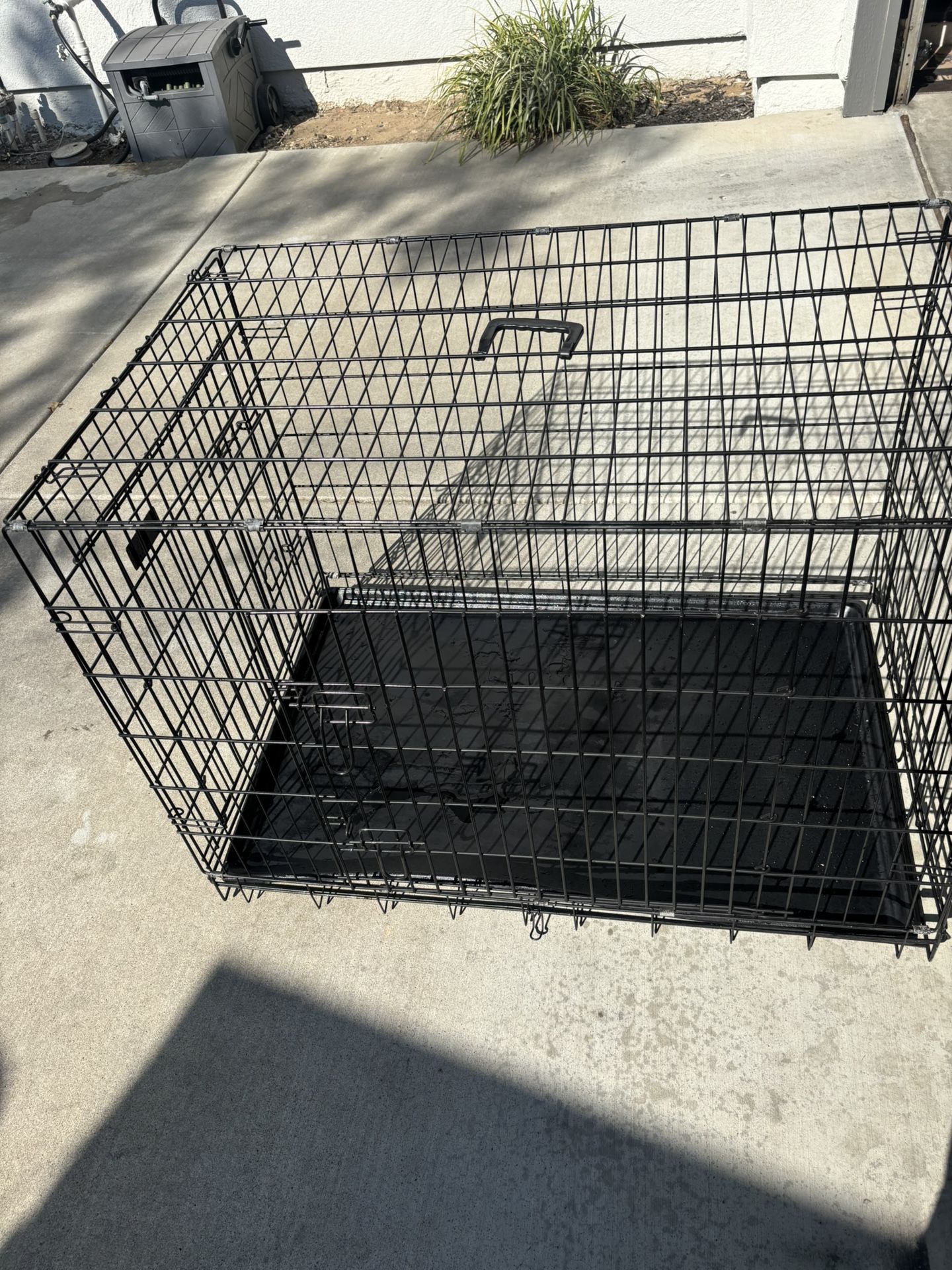 Dog Kennel