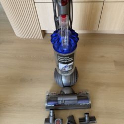 Dyson Ball Animal 2 Vaccum