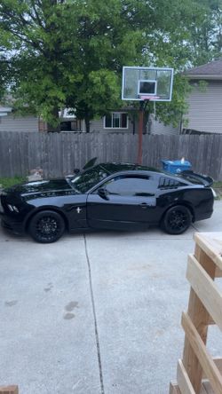 2013 Ford Mustang
