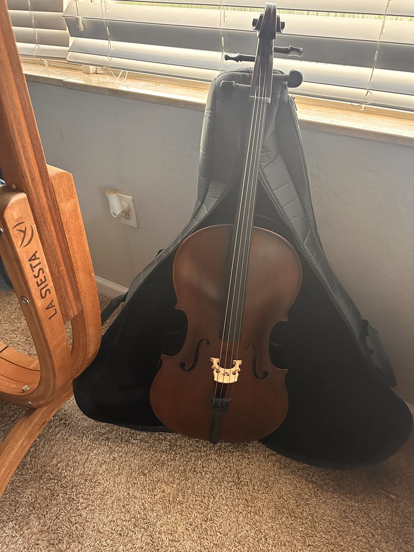 Samuel Eastman VC95SBC-Cello