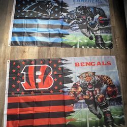Used Flags Size 3ftx5ft Bengals And Panthers 