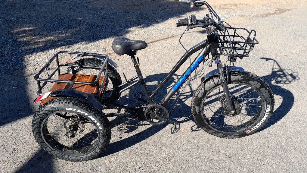 Electric Trike 