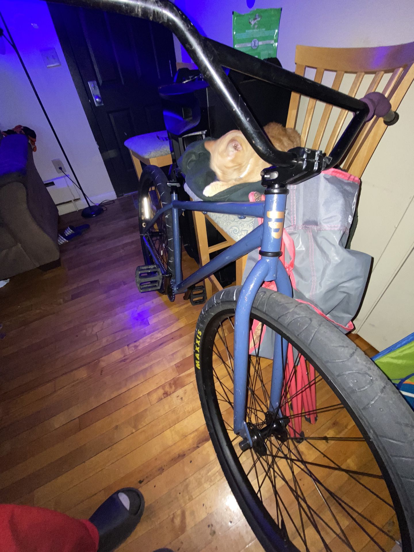 29 inch bomma