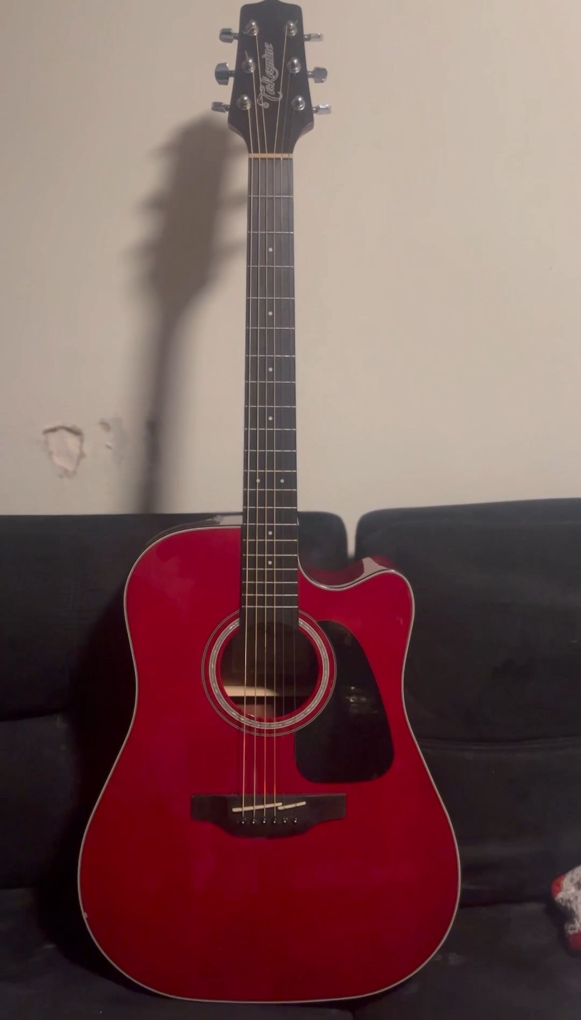 Takamine 6 String