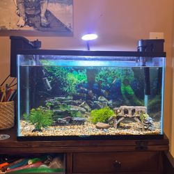 10 Gallon Fish Tank 