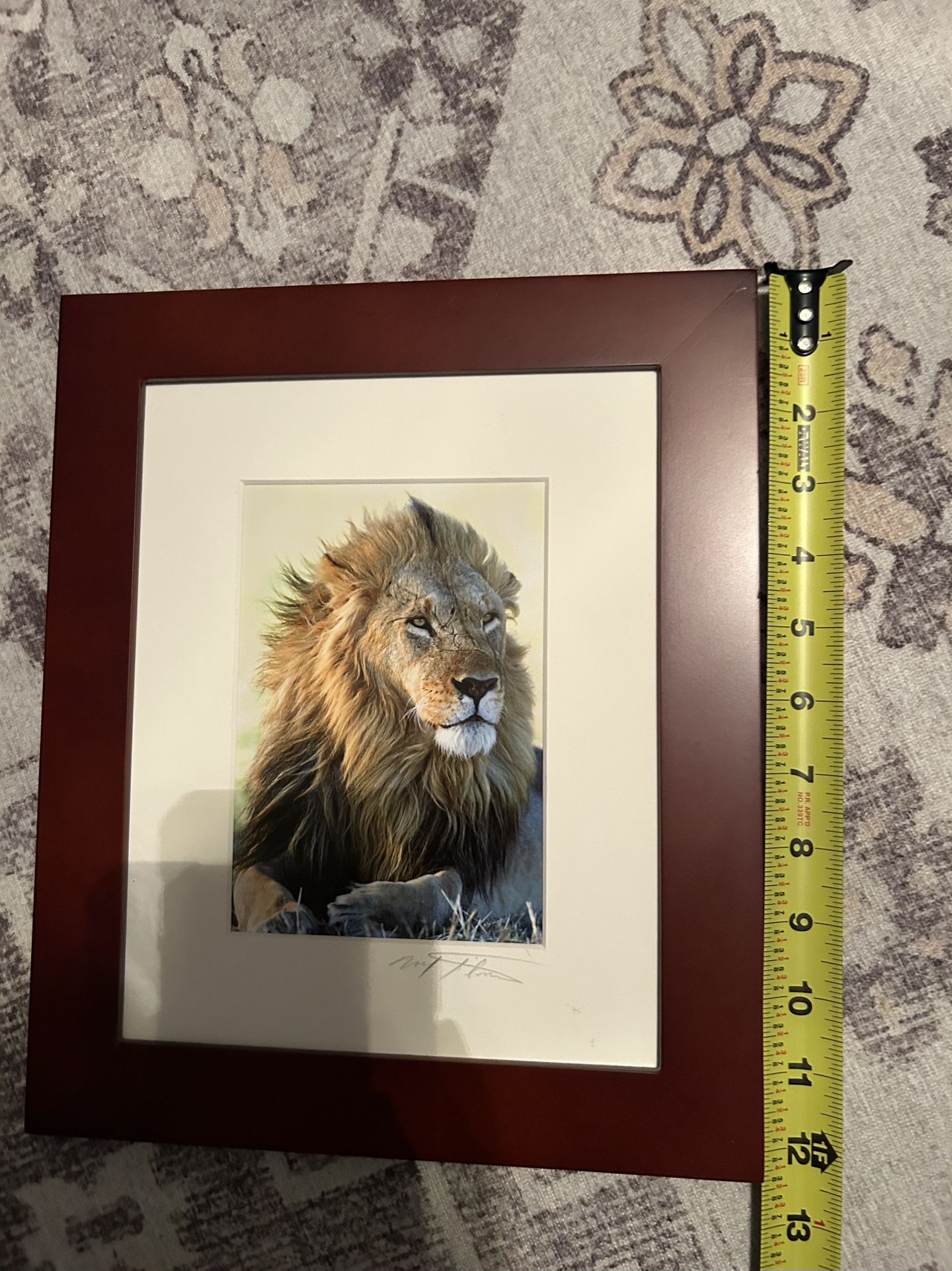 Wall Art - Lion Picture Framed