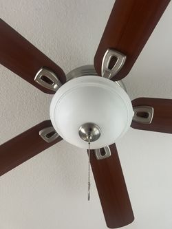 Ceiling Fans with Light (Set of 4) – Great Condition