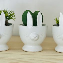 Cute Bunny Pot With Plant - Kerri Heart Or Succulent 