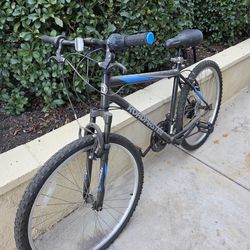 Pair of Roadmaster Mtn Bikes!