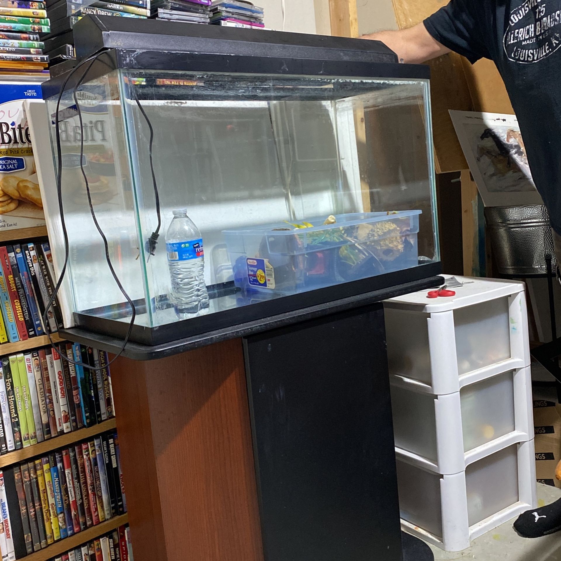 29 Gal Fish Tank And Stand