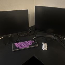 Selling gaming monitors and peripherals FAST
