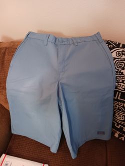 Dickies Shorts