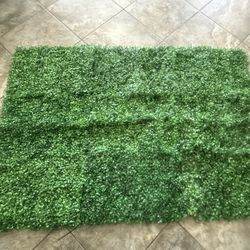 Grass Panel Background 